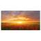 Designart - Poppy Field under Bright Sunset - Landscape Canvas Art Print